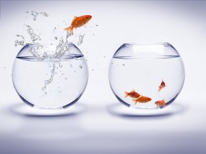 对比评测：神经网络框架社区活跃度分析