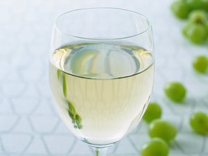 语音助手对比：谷歌助手与苹果Siri谁更懂手势
